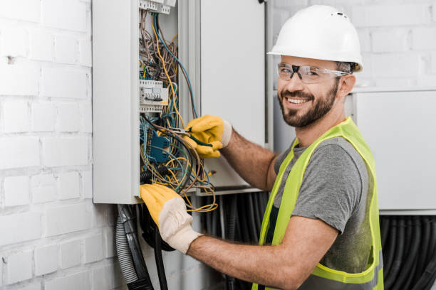 Best Electric Panel Repair  in Wesley Chapel, FL