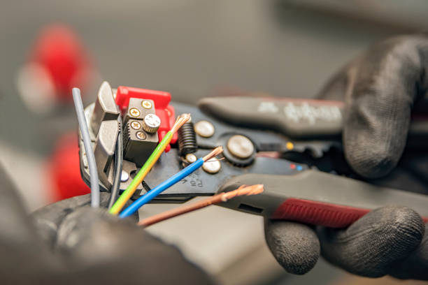 Best Electrical System Inspection  in Wesley Chapel, FL